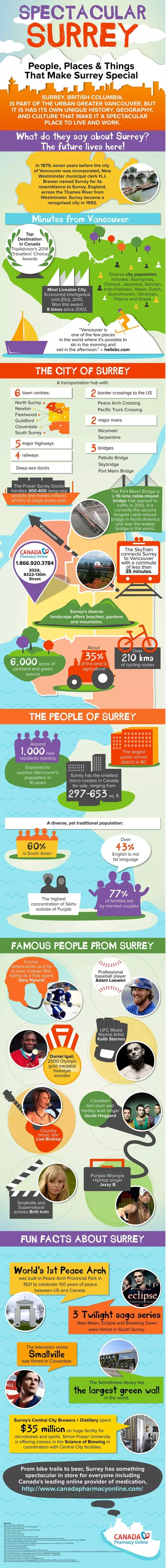 Spectacular Surrey infographic