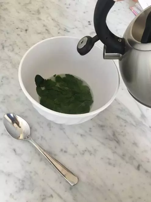 Start by pouring boiling hot water over the fresh mint. Once the mint is covered add your honey and stir together. Cover the mixture and leave until completely cooled.