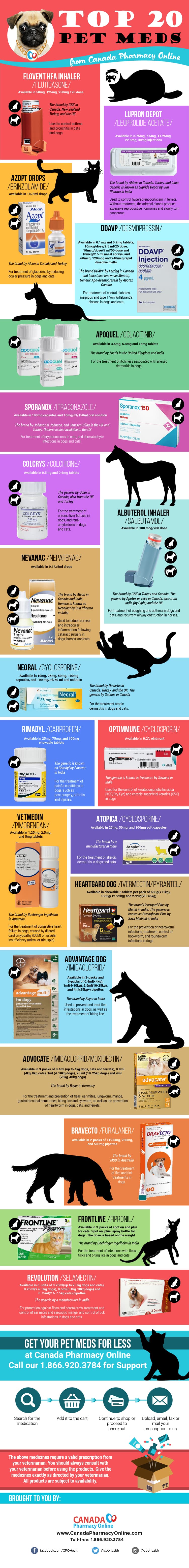 Top 20 Pet Meds Infographic