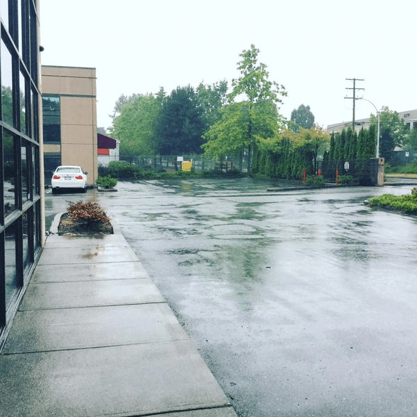 Rain Returned Photo by Instagram user cpohealth