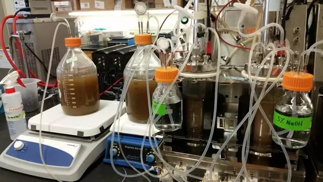 Robogut and Other Ways to Study Human Digestion Photo Credit by Kristina Campbell