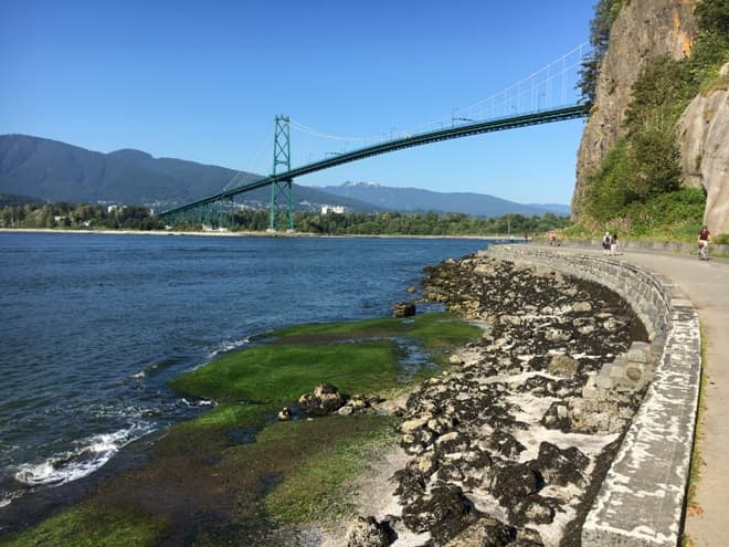 Stanley Park, Vancouver B.C. Photo Credit: by Michael B from flickr.com
