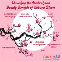 Unveiling the Medical and Beauty Benefits of Sakura Bloom